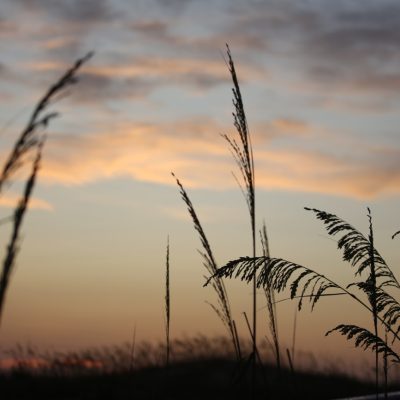 Tuesday 6/18/25 Dawn Patrol