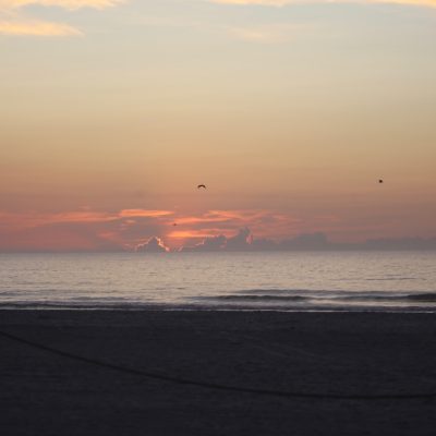 Tuesday 6/18/25 Dawn Patrol