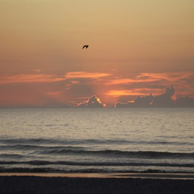 Tuesday 6/18/25 Dawn Patrol