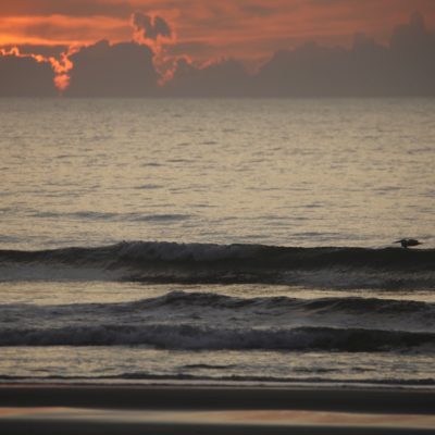Tuesday 6/18/25 Dawn Patrol