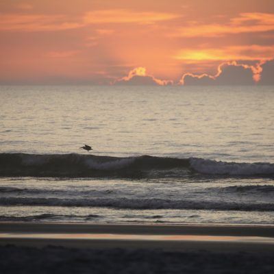 Tuesday 6/18/25 Dawn Patrol