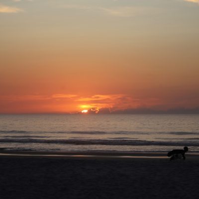 Tuesday 6/18/25 Dawn Patrol