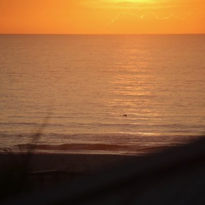 Tuesday 6/18/25 Dawn Patrol
