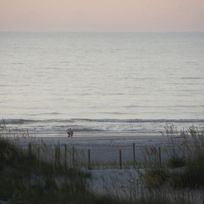 Tuesday 6/18/25 Dawn Patrol